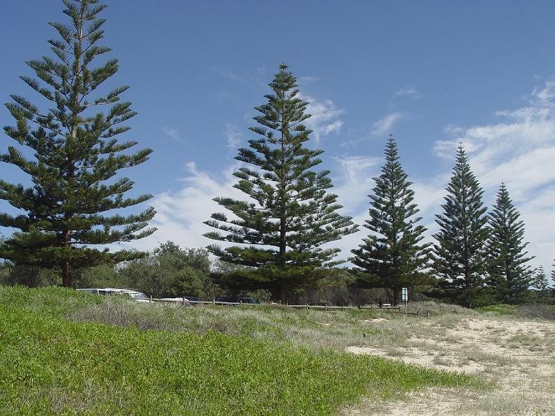 laurieton2 012-camdenhaven.jpg